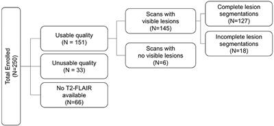 Manual lesion segmentations for traumatic brain injury characterization